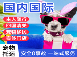 宜春明月山航空物流国际宠物托运 【国